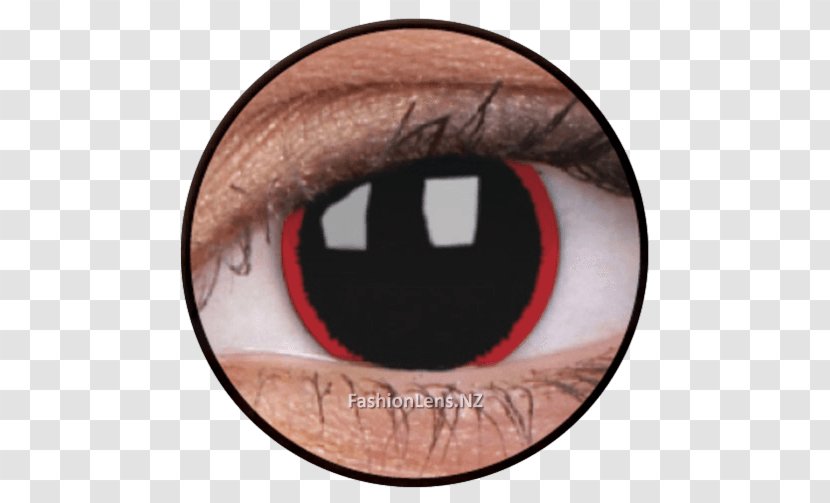 Contact Lenses Eye Color Costume - Tree Transparent PNG