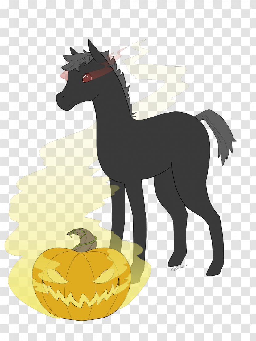 Pony Mustang Foal Colt Stallion - Mammal - Headless Horseman Transparent PNG