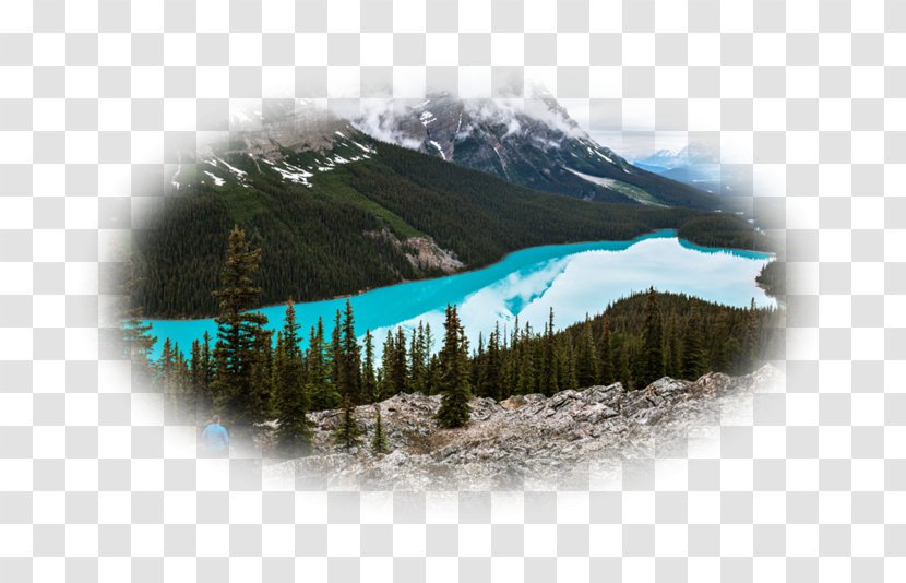 Peyto Lake Mount Scenery Water Resources Glacial Landform Desktop Wallpaper - Mountain - Nature Transparent PNG