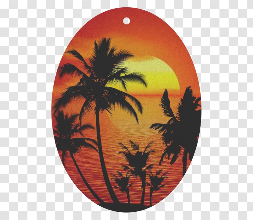 Palm Tree Silhouette - Tropics - Sunrise Transparent PNG