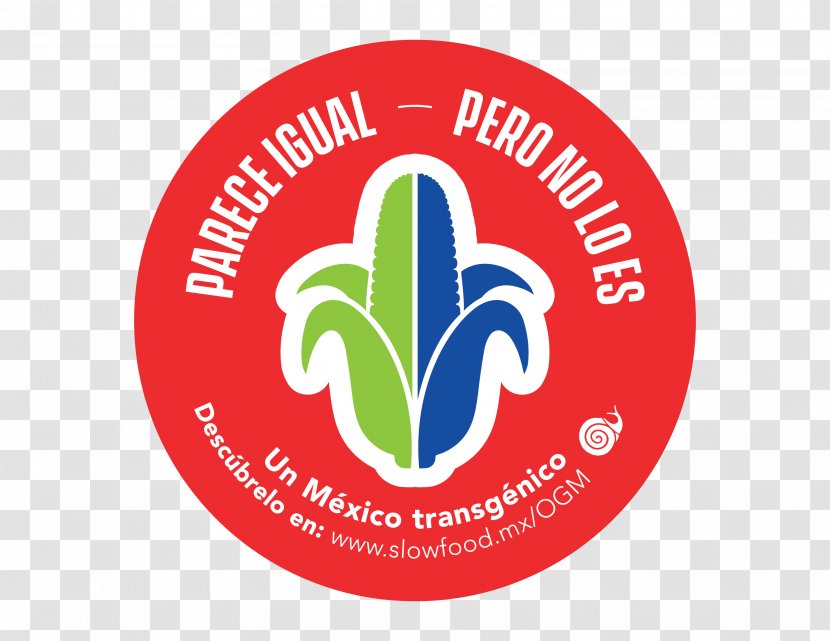 Logo Brand Product Design Trademark - Text - Cacao Peixe Igual Transparent PNG