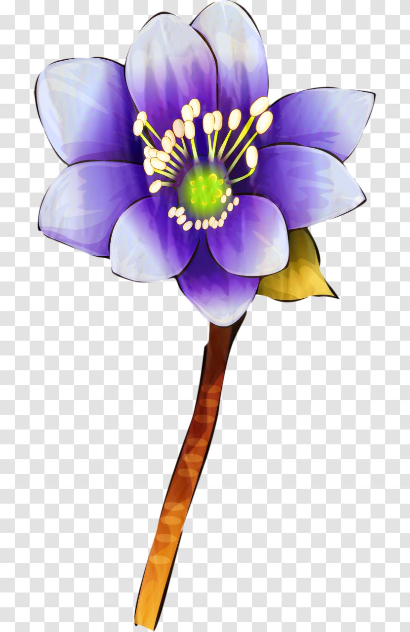 Flowers Background - Herbaceous Plant - Viola Violet Family Transparent PNG
