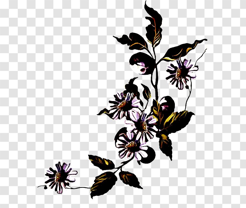 Flower Plant Flowering Leaf Wildflower - Butterfly Pedicel Transparent PNG