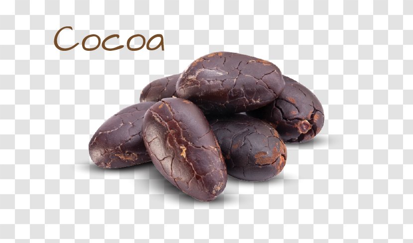 Cocoa Bean Chocolate Cacao Tree Ingredient Jamaican Blue Mountain Coffee Transparent PNG