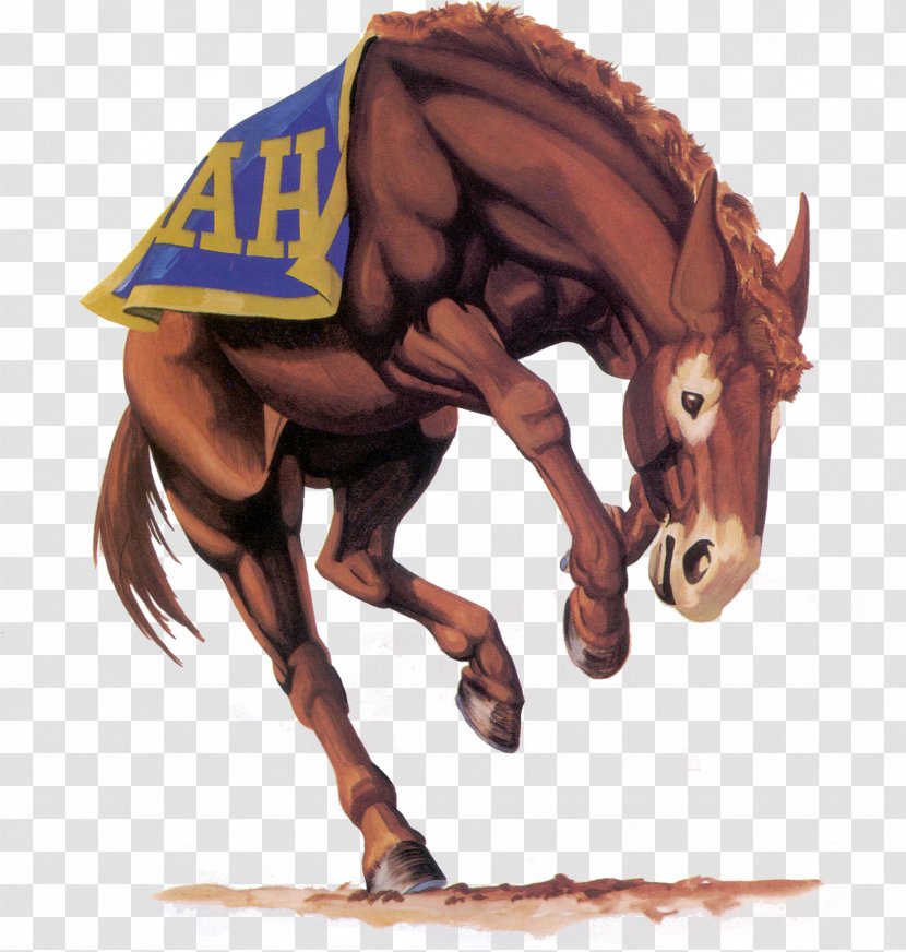 Alamo Heights High School Junior Class National Secondary - Independent District - Mule Transparent PNG