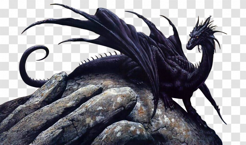 Black Dragon Legendary Creature Rhapsody Of Fire Monster - Devil Bird Transparent PNG