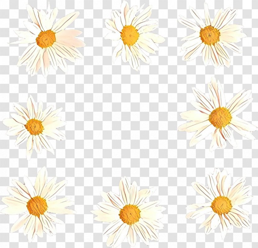 Sunflower Cartoon - Chamomile - Wildflower Chamaemelum Nobile Transparent PNG