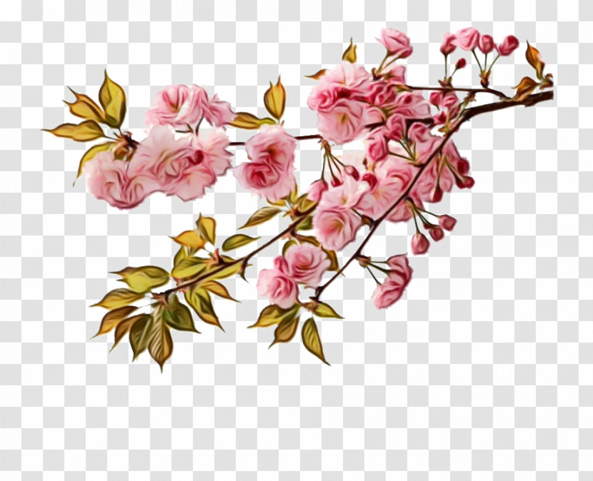 Floral Design Transparent PNG