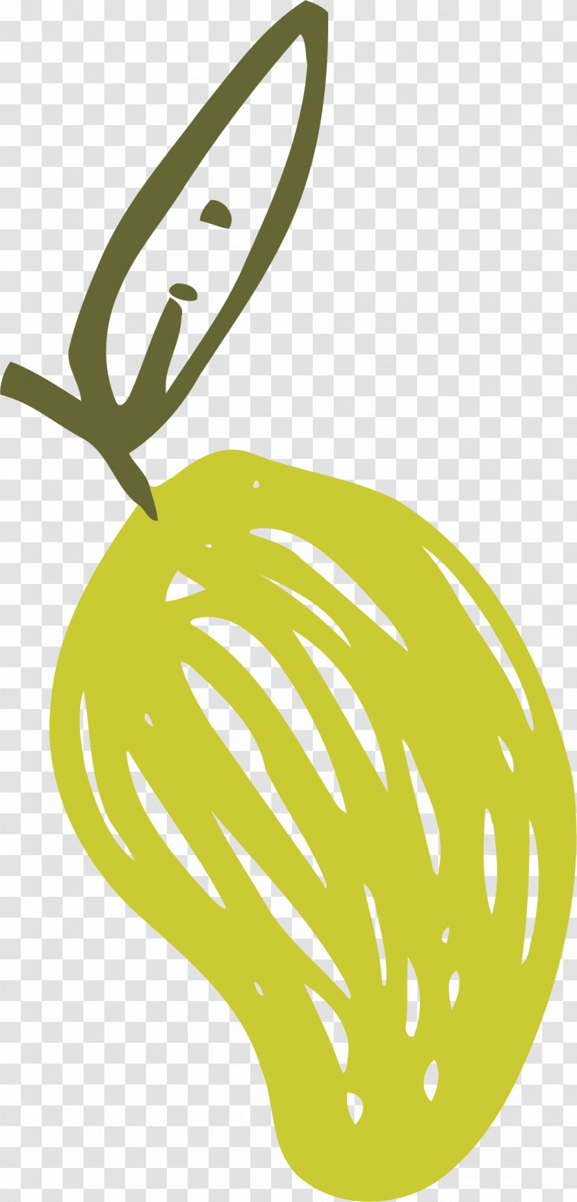 Fruit Clip Art Food Chinese White Pear - Organism Transparent PNG