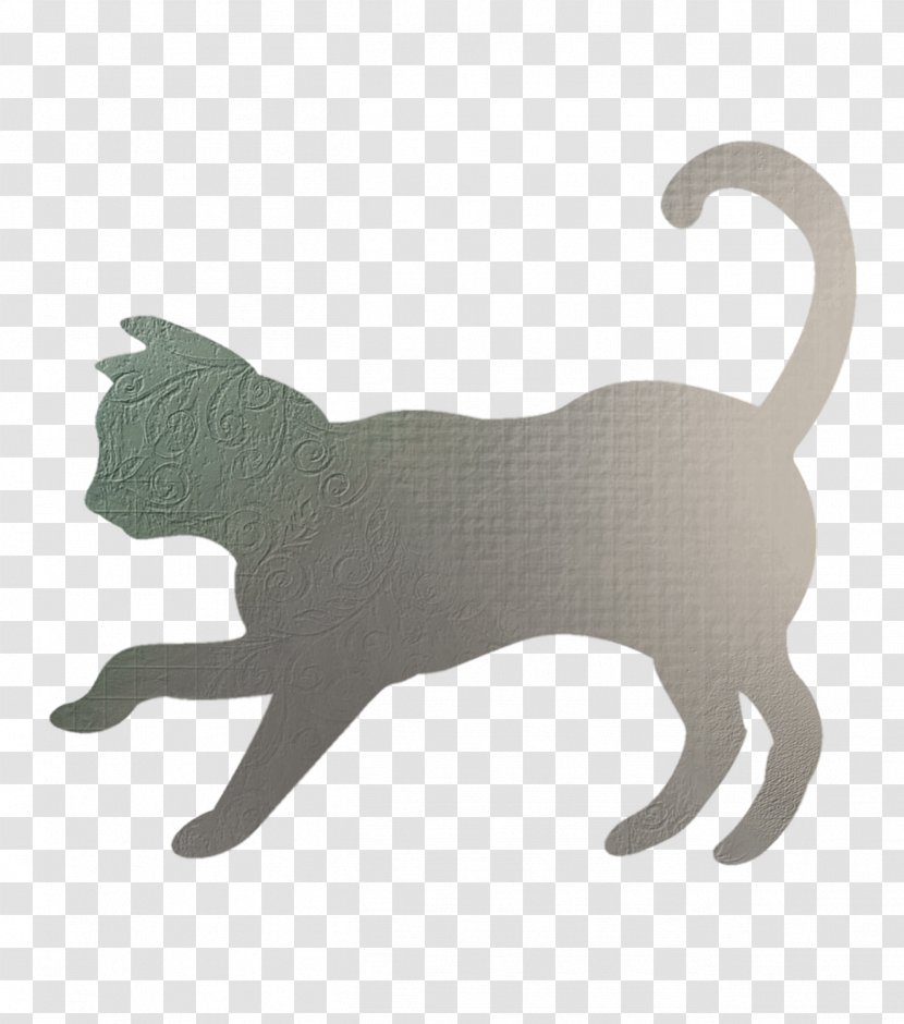 Cats Shadow - Small To Medium Sized - Cat Movies Transparent PNG