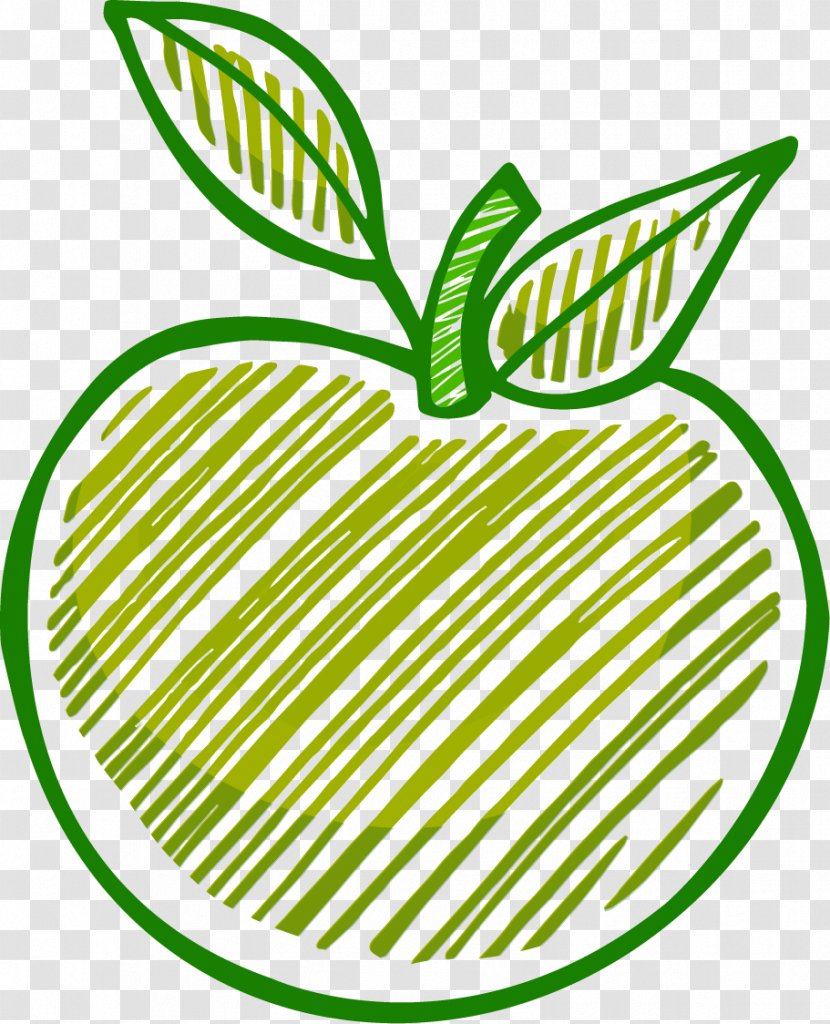 Drawing Apple - Vegetable - Vector Line Apples Transparent PNG
