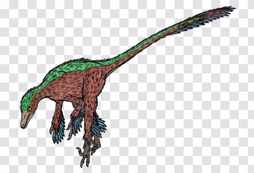 Troodon Velociraptor Utahraptor Dinosaur Pyroraptor - Sinovenator - Taming Transparent PNG