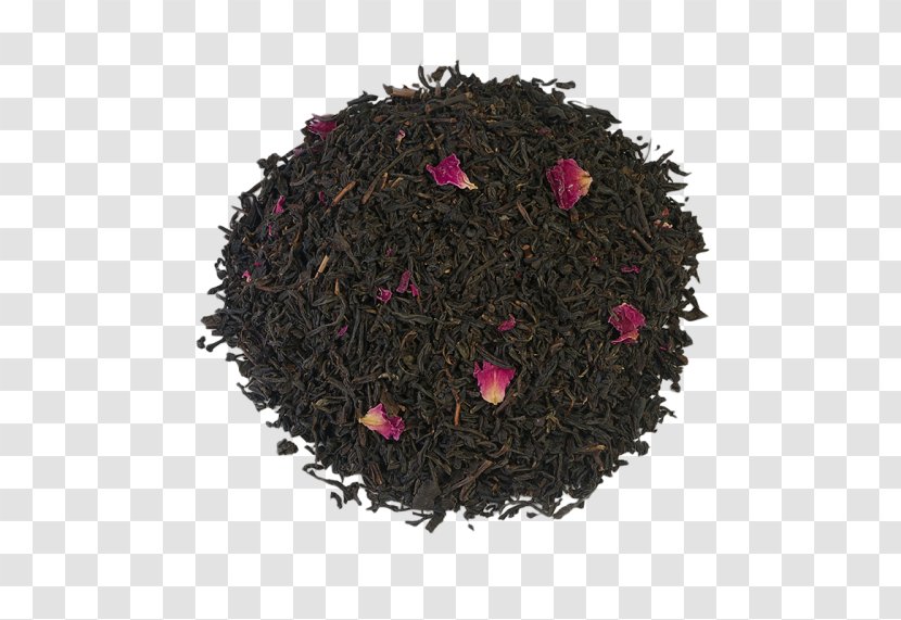 Nilgiri Tea Dianhong Magenta Plant - Da Hong Pao - Chinese Rose Transparent PNG