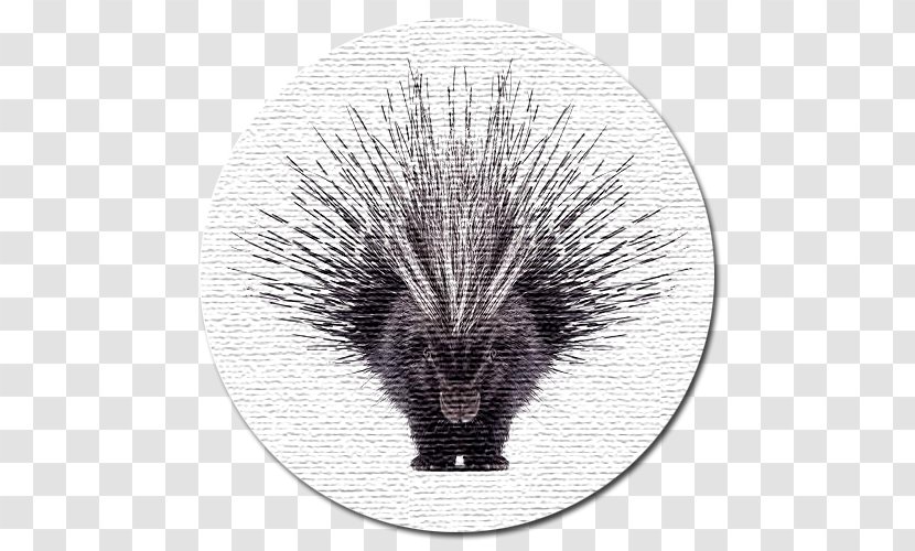 Crested Porcupine Dog North American Horse Transparent PNG