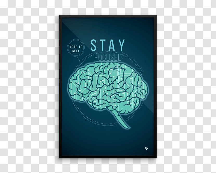 Brain Tumor Kronenberger Rosenfeld, LLP Neurology 水毒 - Promotional Posters Copywriter Transparent PNG