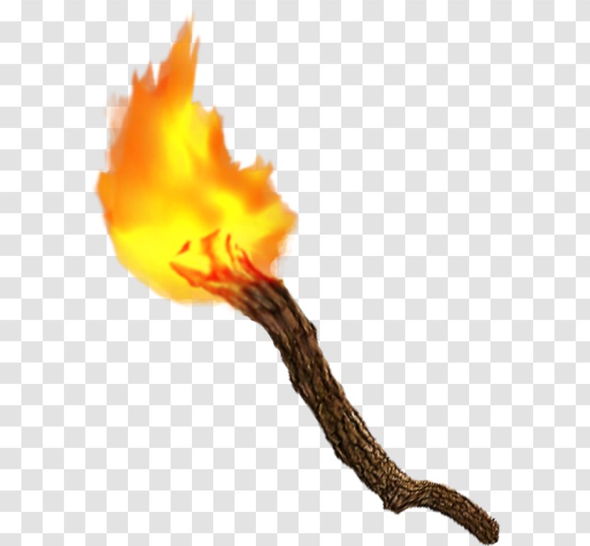 Torch Flame Drawing Stock - Gas Flare Transparent PNG