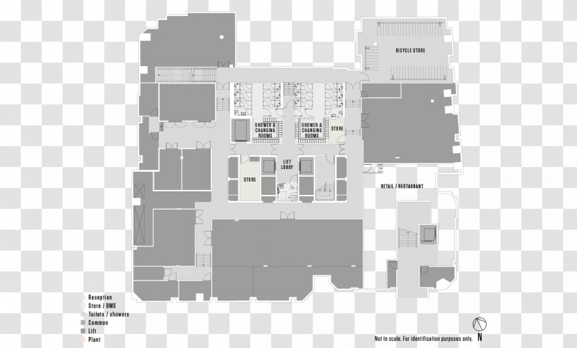 Floor Plan Architecture - Schematic - Design Transparent PNG