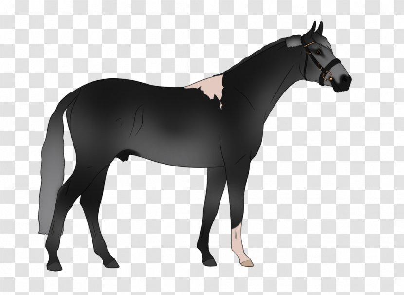 Mustang Great Dane Thoroughbred Dobermann Akhal-Teke - Akhalteke - Minimal Tobiano Transparent PNG