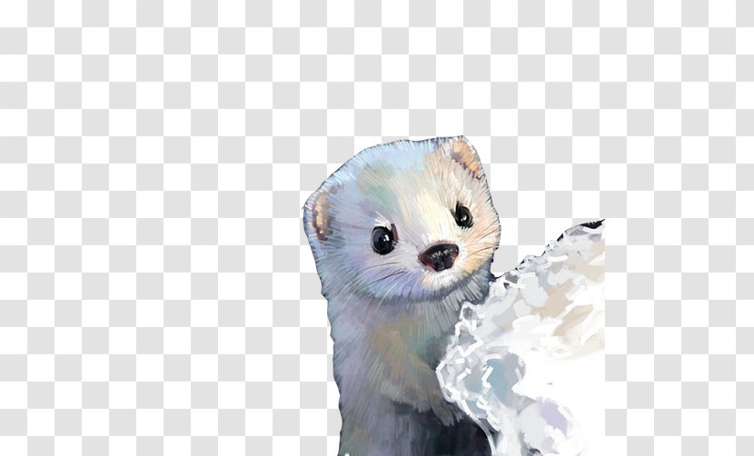Ferret China Cat DianPing Illustration - Weasel - Ferrets Hide And Seek Creative Image Transparent PNG