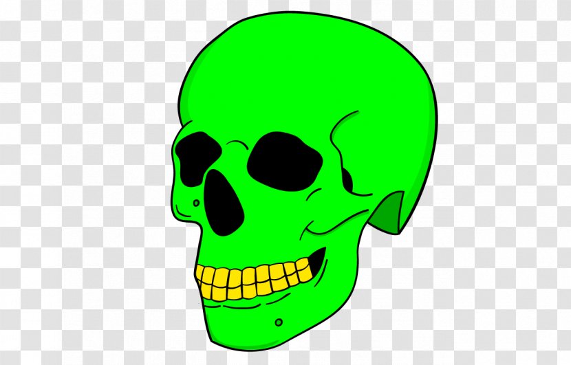 Skull Bone Jaw Cartoon Clip Art - Head - Material Transparent PNG