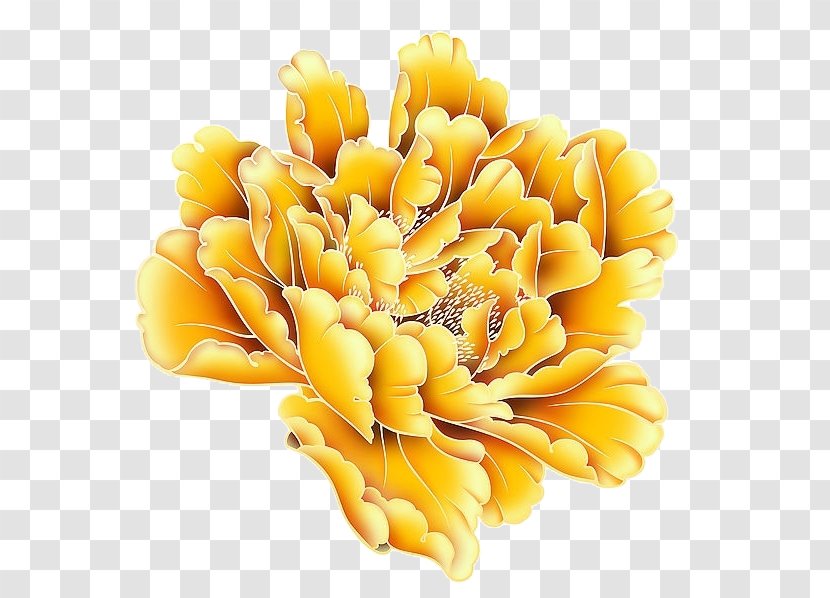 Yellow Moutan Peony - Gold - Blooming Flowers Transparent PNG