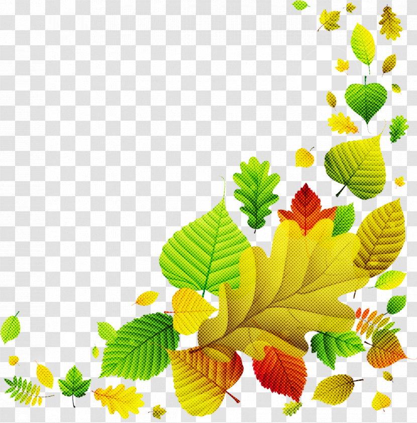 Leaf Yellow Plant Flower Tree Transparent PNG