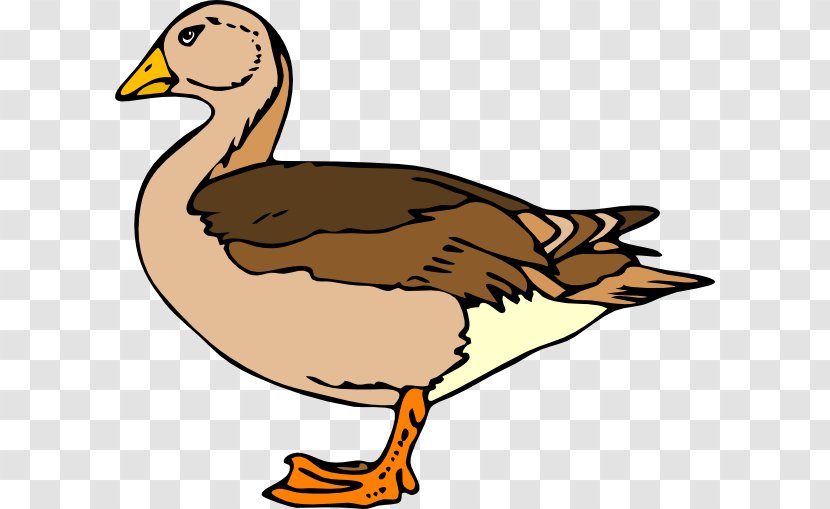 Donald Duck Clip Art - Mallard - Pictures Of Animated Ducks Transparent PNG