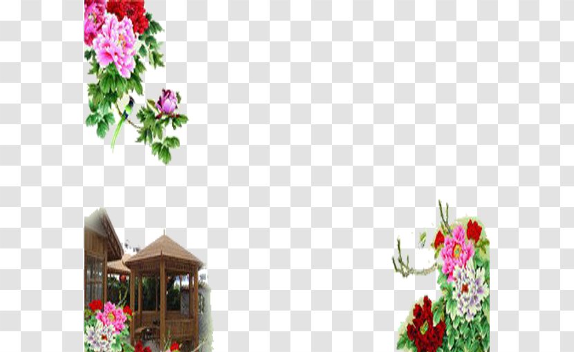 Moutan Peony Paeonia Lactiflora Floral Design Wallpaper - Rose Family - Flowers Transparent PNG