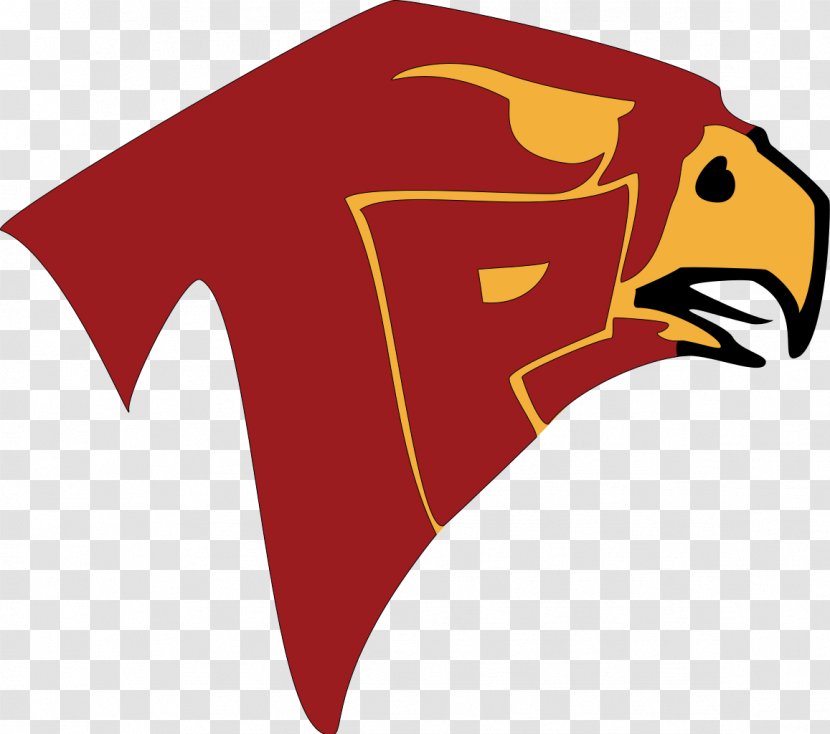 Torrey Pines High School Canyon Crest Academy San Dieguito National Secondary - Snout - Falcon Vector Transparent PNG