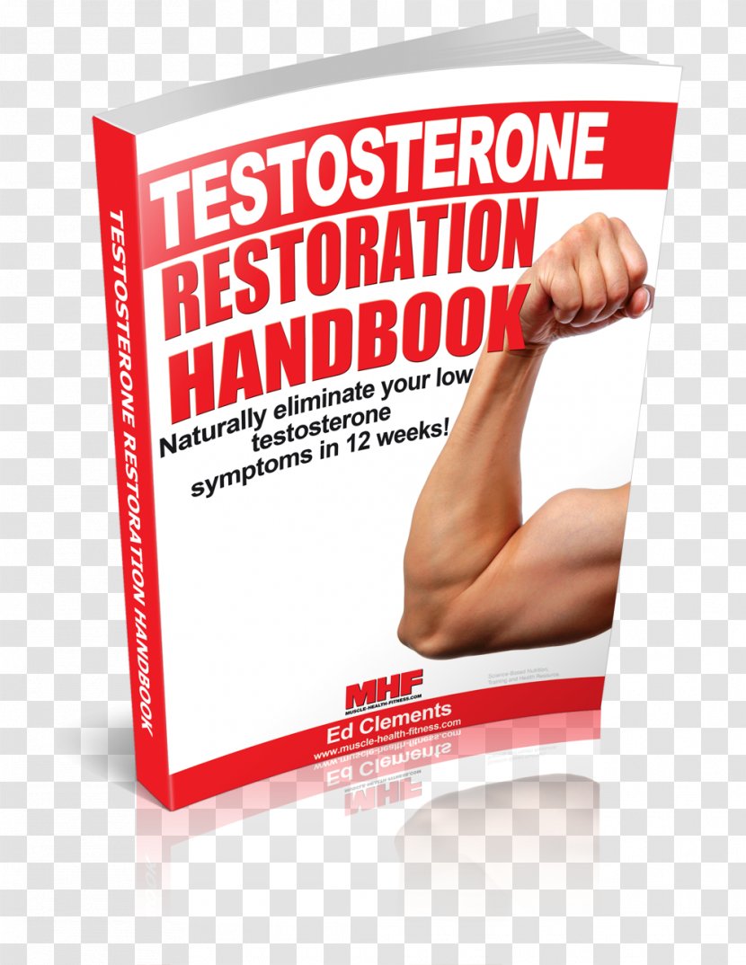 Testosterone Hypogonadism Medical Sign Symptom Prolactinoma - Undecanoate - Personal Information Introduction Transparent PNG