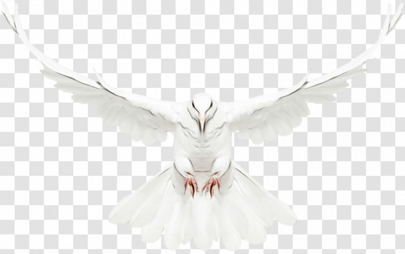 Angel Cartoon - Beak - Wing Transparent PNG