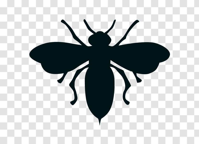 Insect European Dark Bee Black And White Drawing - Flower - Harry Potter Transparent PNG