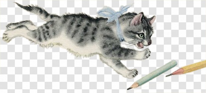 Fairy Tale Book Verse Reading Childrens Literature - Domestic Short Haired Cat - Hand Painted Watercolor Caught Pencil Transparent PNG