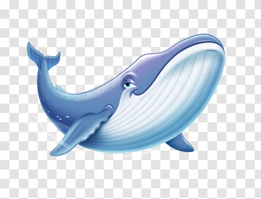 Vacation Bible School Ocean Whale Sea Clip Art - Marine Mammal Transparent PNG