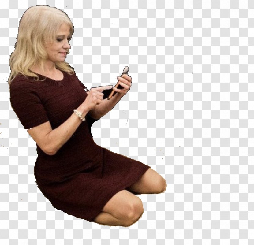 Kellyanne Conway Oval Office White House Couch Adviser - Flower - Cartoon Transparent PNG
