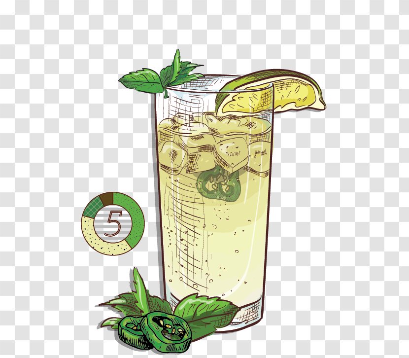 Lime Juice Drink Alcoholic Beverages Plants Transparent PNG