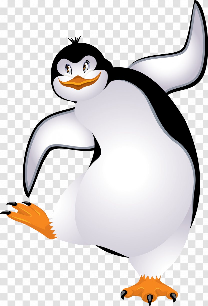 King Penguin Cygnini Clip Art - Animal Transparent PNG