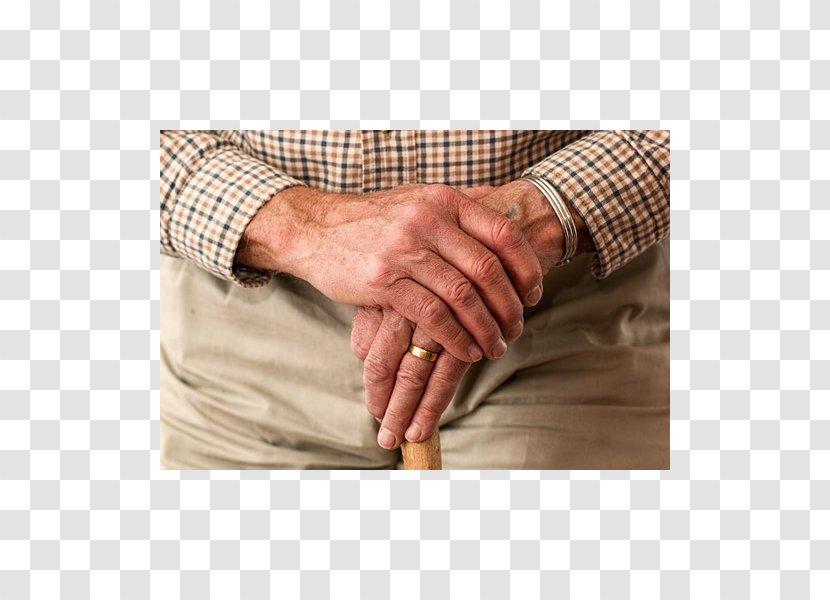 Pension Health Care HABC Level 2 Award In End Of Life Insurance Palliative - Wrist - Rationality Transparent PNG