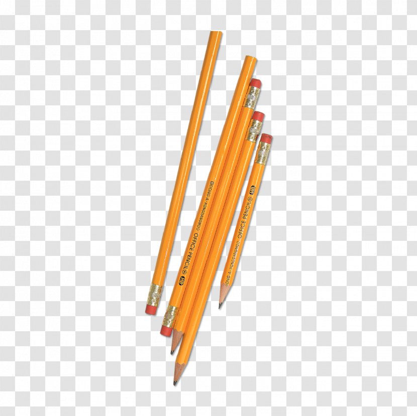 Pencil Drawing - Colored - A Transparent PNG
