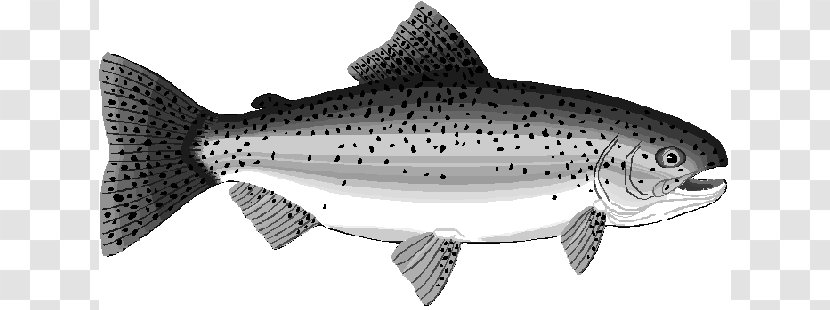 Rainbow Trout Salmon Clip Art - Fish As Food - Cliparts Transparent PNG