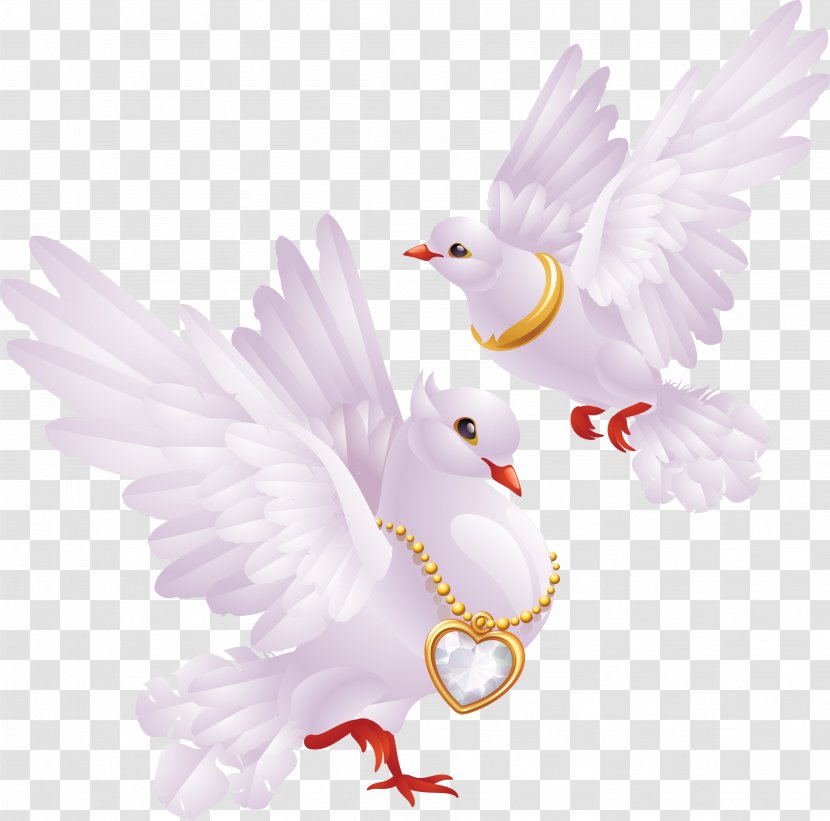 White Pigeon Comm School District Domestic Tasty Nut Shop Farrand Funeral Home Jerry Kash Inc - Gift - Pigeons Image Transparent PNG