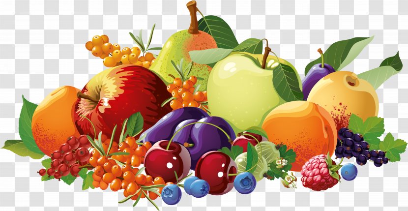 Vegetarian Cuisine Berry Fruit Food Drawing - Vegetable - And Border Transparent PNG