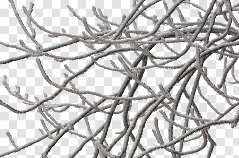 Elsa Twig Ice - Cartoon - Frozen Branches Transparent PNG