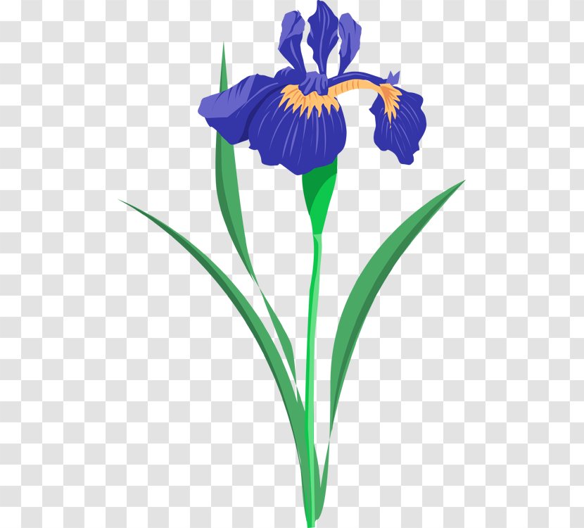 Iris Versicolor Lacustris Clip Art - Irises - Cliparts Transparent PNG