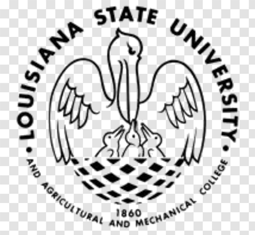 Louisiana State University School Of Dentistry College Master's Degree - Flower Transparent PNG