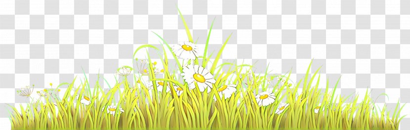 Wheatgrass Desktop Wallpaper Commodity Computer Sky - Flower Transparent PNG
