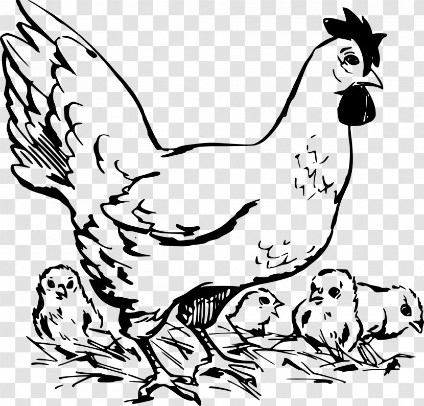 Dorking Chicken Rooster As Food Poultry Clip Art - Sketch Transparent PNG