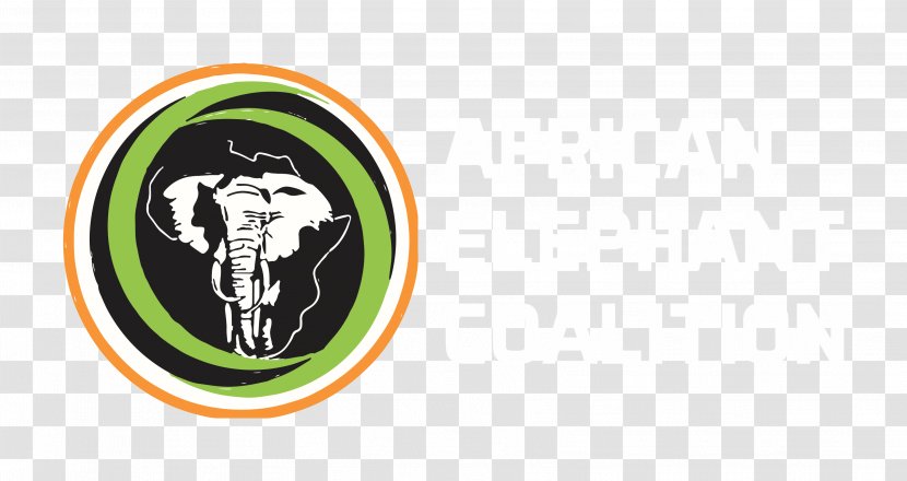 African Elephant Central Republic Elephants Ivory Trade Democratic Of The Congo - Africa Transparent PNG