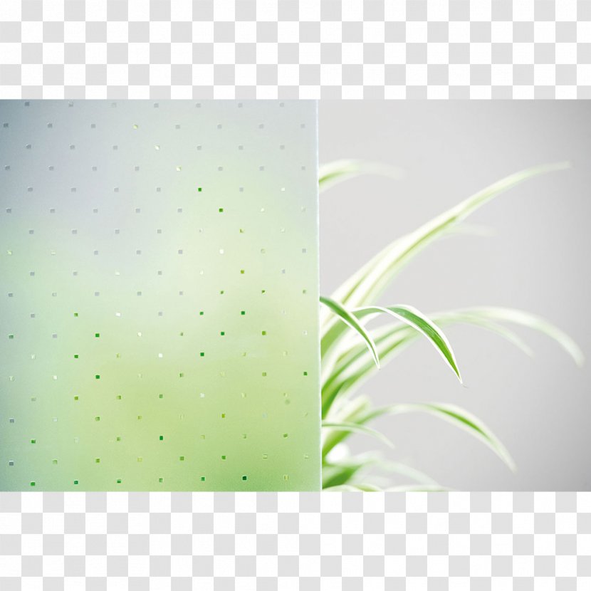 Desktop Wallpaper Computer Close-up - Green Transparent PNG