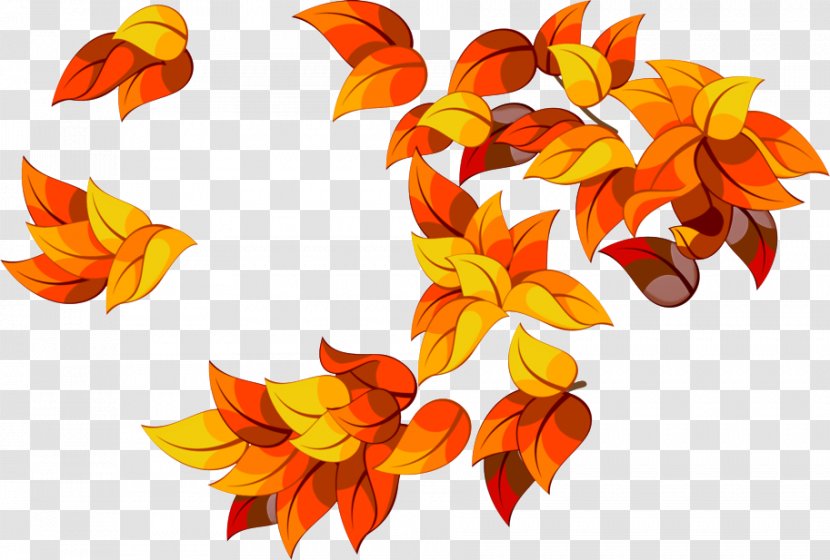 Orange - Leaf - Petal Flower Transparent PNG